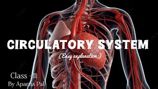 HUMAN CIRCULATORY SYSTEM  CLASS 11TH [upl. by Daugherty]