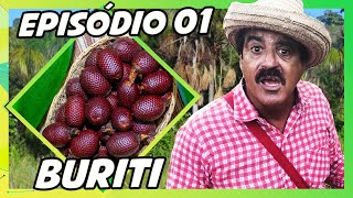 IMBILINO E OS FRUTOS DO CERRADO  EPISÓDIO 01 BURITI [upl. by Eitsym]