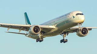 4K Plane spotting at Schiphol Amsterdam  4x A350 arriving on an early morning [upl. by Rickey674]