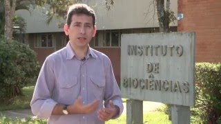 Guia de Profissões  Física Médica [upl. by Snook107]