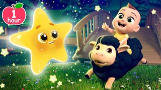 Twinkle Star Farm More Lalafun Nursery Rhymes amp Kids Songs [upl. by Bainbrudge]