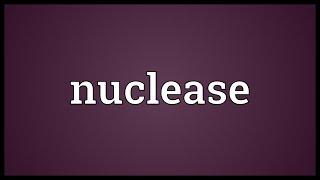 Nuclease Meaning [upl. by Einnaf264]