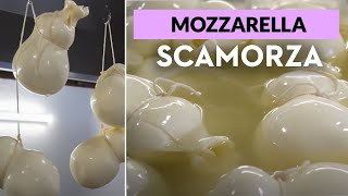 Making Scamorza  Italian Food  Kitchen Tales [upl. by Nysilla954]