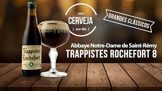 Trappistes Rochefort 8 2022  Abbaye NotreDame de SaintRémy  Uma Cerveja Por Dia 0489 [upl. by Anwahsar]