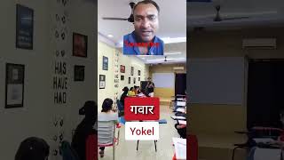 Daily use sentences english shortsviral video spokenenglish englishwithrcverma [upl. by Llenram]