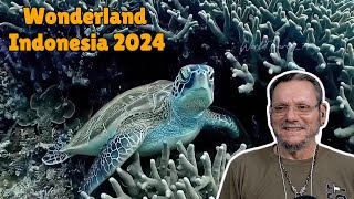 Wonderland Indonesia 2024  First Time Reaction [upl. by Ahsimal]