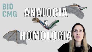 Analogia x Homologia  Você sabe a diferença [upl. by Ivek]