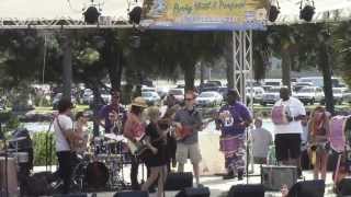 Halifax Oyster Fest  Are Friends Electric 27 April 2013  Manatee Island Daytona Beach FL [upl. by Arda]