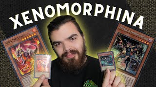 Breaking Down the Xeno Meteorus and Dinomorphia Therizia Yugioh Deck [upl. by Pritchett]