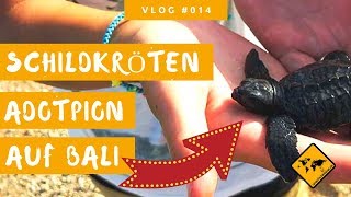 🐢 Wir adoptieren eine Schildkröte auf Bali  Goa Gajah amp Kuning Waterfall  unaufschiebbarde [upl. by Aknayirp]