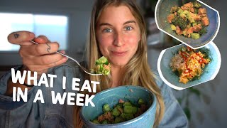 🥩 WHAT I EAT IN A WEEK » animal based recipes  reclaiming my space [upl. by Mure]