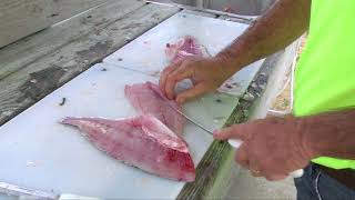 How to Fillet Black Drum  Dexter Outdoors [upl. by Pammy538]