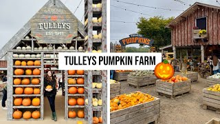 Tulleys PUMPKIN FESTIVAL 🎃  Day trip idea from London [upl. by Ebeneser319]