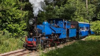 Beeches Light Railway 21st June 2014 [upl. by Ybroc]