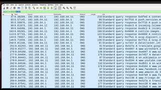 Display Filters in Wireshark [upl. by Helene308]