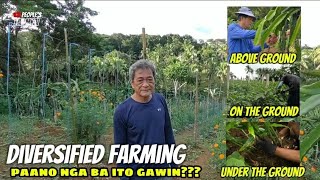 Vlog 110 Paano nga ba KUMITA sa DIVERSIFIED FARMING diversified organicfarming [upl. by Razec413]