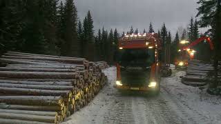 Log Trucking  Svartede [upl. by Aihsekel]