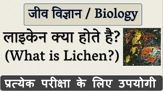 लाइकेन क्या है  What is Lichen in Hindi  जीव विज्ञान Biology  Science Gk in Hindi [upl. by Kirby]