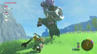 Blue Lynel  Lodrum Headland  Zelda Breath of the Wild [upl. by Yrtneg508]