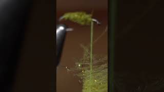 Petejean CDC caddis shorts flytying [upl. by Junna]