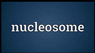 NUCLEOSOMESstructure of nucleosomesfunction of nucleosome [upl. by Yseulta327]