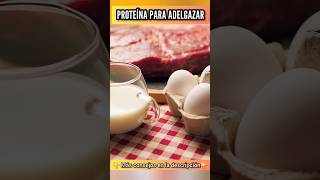 PROTEÍNA para ADELGAZAR Un ERROR COMÚN [upl. by Yebba]