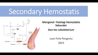 Cara Baca Lab PTAPTT dengan mengenal Fisiologi Hemostasis Sekunder  Kaskade Koagulasi [upl. by Skelton]