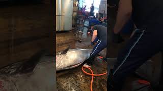 Bluefin Tuna Cutting Skill [upl. by Oigufer]