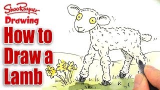 How to draw a cute cartoon lamb [upl. by Sandberg]