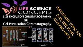 PART1 Size Exclusion Chromatography  Gel Filtration Chromatography  Gel Permeation Chromatography [upl. by Akemehs812]