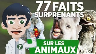 77 FAITS SURPRENANTS SUR LES ANIMAUX [upl. by Henden]