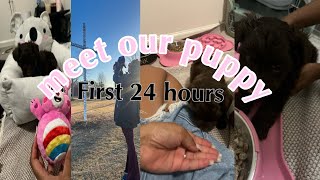 FIRST 24 HOURS WITH A YORKIE PUPPY 🌸  family of 6 lifestyle christianyoutuber [upl. by Peednama]