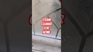 Steam Cleaner for Home [upl. by Ellehsor345]