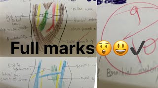 How to write answer in theory exam MBBS theory Exam me answer kaise likhe [upl. by Anid]