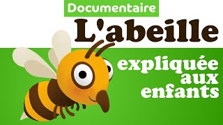 Pourquoi labeille fait du miel  🐝 Documentaire animalier pour enfant de maternelle [upl. by Milda]