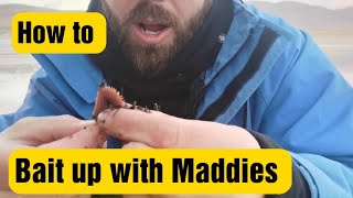 How to bait up with Maddies Creeper Ragworm [upl. by Timofei]