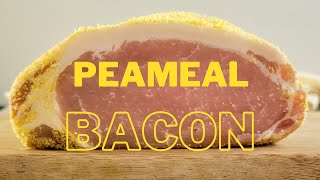 HOMEMADE PEAMEAL BACON  HOW TO MAKE PEAMEAL BACON [upl. by Rhyner]