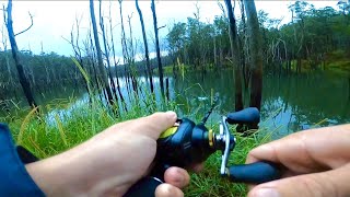 LANDBASED SARATOGA Fishing HINZE DAM  GOLD COAST Trekking For Togas Pt1 [upl. by Anivlek288]