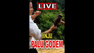 Chintya Candranaya LIVE TINJU Palu Godem [upl. by Alleroif154]