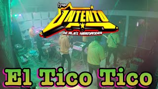 El Tico Tico  Grupo Intento En Vivo [upl. by Lidah584]