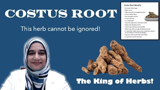 Costus Root  Indian Costus  القسط الهندي [upl. by Cynthie]