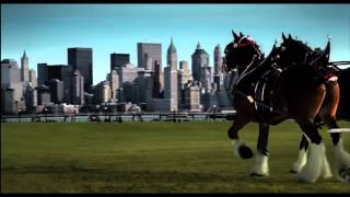 Budweiser 911 Tribute Superbowl Commercial Clydesdales IN HD [upl. by Tade61]