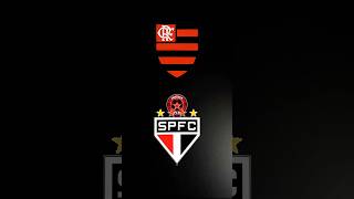 Só Flamengo e São Paulo são grandes flamengo saopaulofc [upl. by Ahsinrats364]