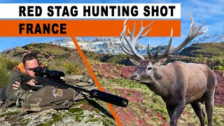 Chasse au cerf  Deer hunting  France 2024 [upl. by Idzik]