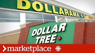 Dollar store deals Testing Dollarama and Dollar Tree Marketplace [upl. by Keldon]