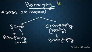 SEMANTICS16 Sense Relations Homonymy vs Polysemy [upl. by Ahsinra156]