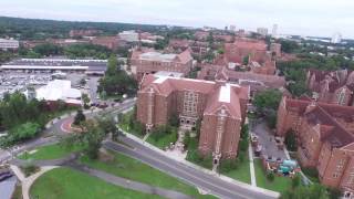 Florida State UniversityStudy in USA with scholarship [upl. by Orvie291]