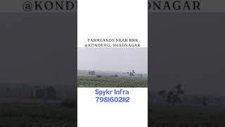 Farmlands near RRR Kondurg Mandal Shadnagar Call 7981602112 [upl. by Ecraep]