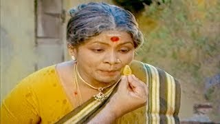 Manorama S Ve Shekher Best Funny Comedy  Tamil Comedy Scenes  Manorama Comedy Hits [upl. by Pegma]