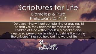 Scriptures for Life  Blameless amp Pure [upl. by Arinaj39]